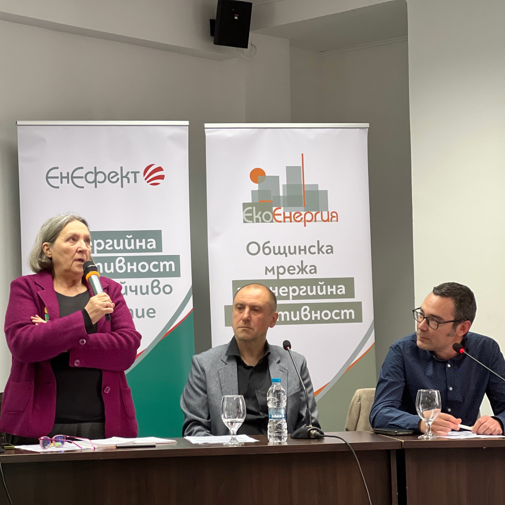 Бъдещето на финансовите инструменти за устойчива енергия